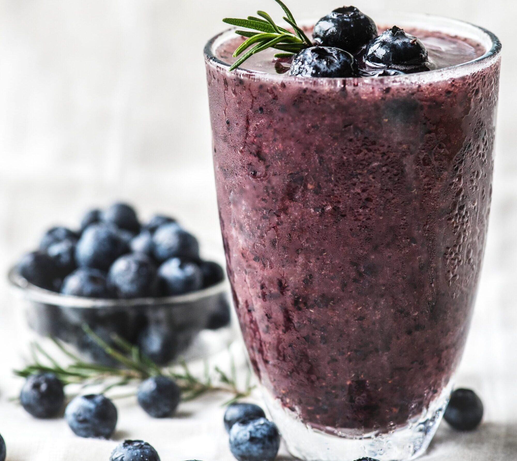 antioxidant-berries-beverage-1842615 (1)